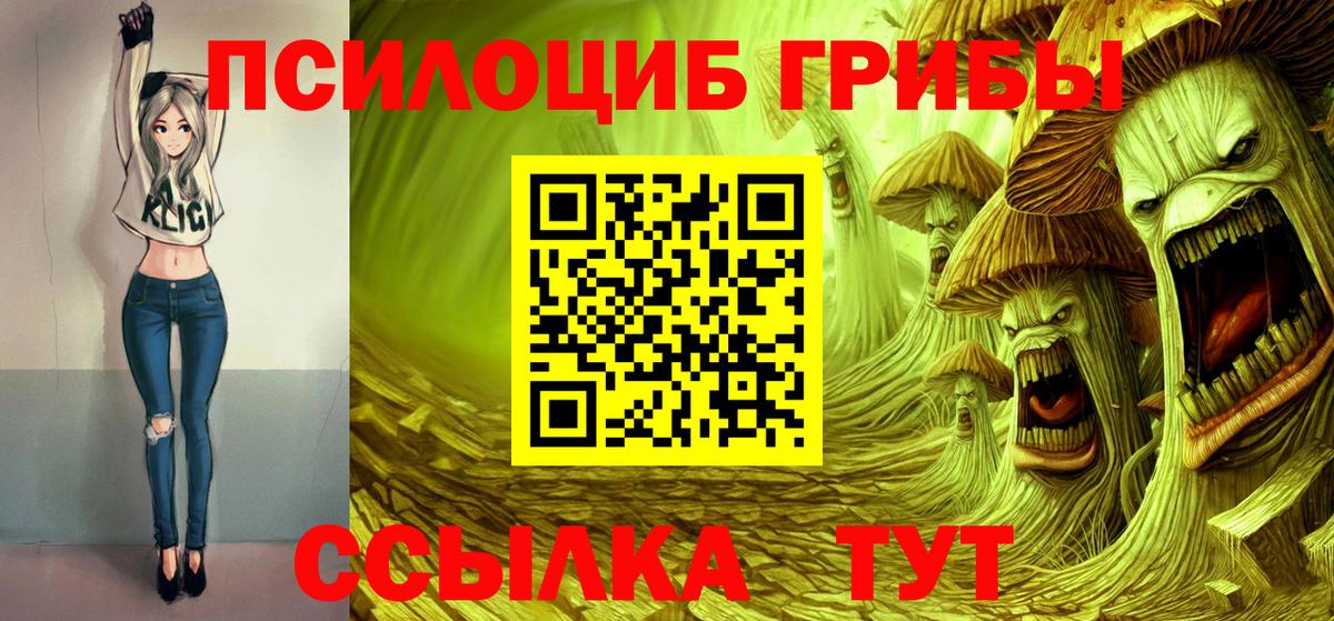 дарнет шоп  Галлюциногенные грибы Psilocybine cubensis  Вход с VPN  Псилоцибиновые грибы Psilocybine cubensis  Белогорск 